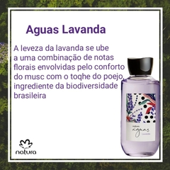 Desperte seus Sentidos com Águas Florais: Laranjeira, Lavanda, Jabuticaba, Violeta e Lírio Natura 170ml na internet