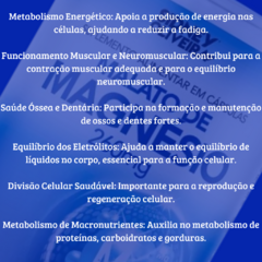 Texto sobre os benefícios do magnésio, incluindo metabolismo energético e saúde óssea.