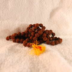 JAPA MALA RUDRAKSHA