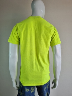 Camiseta HOLLISTER | G | - comprar online