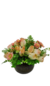 Arranjo Com Flores Variadas Rosas Salmão E Mini Margaridas - comprar online