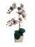 Mini Arranjo Orquídeas Branca Mesclada - comprar online