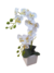Mini arranjo com mini orquídea branca no vaso de cerâmica branco - comprar online