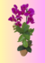 Arranjo com orquídeas pink vaso cerâmica - Darc Flores e Arranjos Artificiais