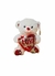 Urso de pelucia com coração vermelho e detalhe em prateado - Darc Flores e Arranjos Artificiais