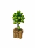 Arranjo mini árvore com peras artificiais vaso madeira
