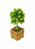 Arranjo mini árvore com peras artificiais vaso madeira - comprar online