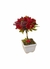 Mini arranjo com mini rosas vermelhas no vaso de cerâmica na internet
