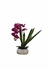Arranjo orquídeas pink de silicone vaso branco mesclado - comprar online