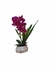 Arranjo orquídeas pink de silicone vaso branco mesclado na internet