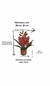 Arranjo com orquídeas vermelhas cymbidium artificiais - comprar online