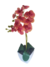 Arranjo orquídeas de silicone rosa mesclad ano vaso melanina branco na internet