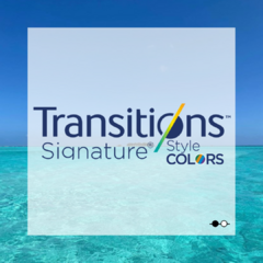 TRANSITIONS STYLE COLORS