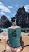 Oh My Gin! London Dry Gin Soft 750mL Edição 02