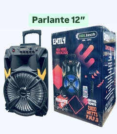 Parlante Karaoke Portatil 12" Bluetooth FM MP3 HBL_Tech HBL-2112