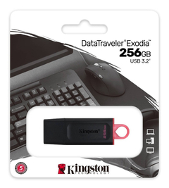 Pendrive 256gb Kingston Usb 3.2 Exodia Dtx