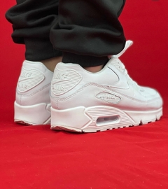 Airmax 90 na internet