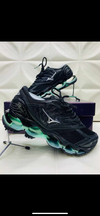 Mizuno prophecy 8