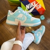 Nike Dunk Edicao Especial