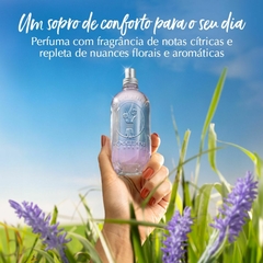 Deo Colônia Capim-Limão Alfazema 100ml - comprar online