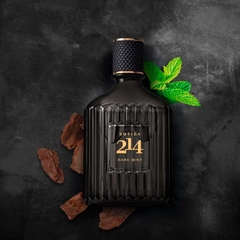 Botica 214 Dark Mint Eau De Parfum 90ml - comprar online