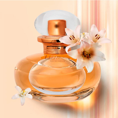 Lily Lumière Eau de Parfum na internet