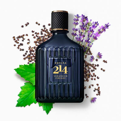 Botica 214 Verano en Firenze Eau de Parfum Fougère Aromático 90ml - comprar online