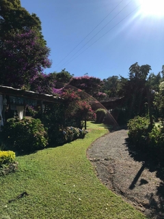 Image of Imersão das Guardiães do Feminino Ancestral