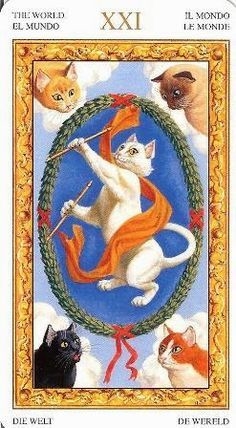 Tarot de los Gatos Blancos en internet