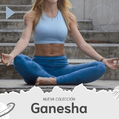 Banner de la categoría Ganesha