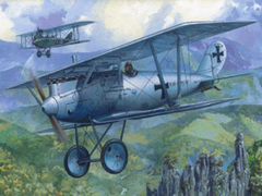 Roden - Pfalz D.III WWI - 0003 - 1:72 en internet