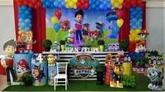 JUAN FELIPE PAW PATROL