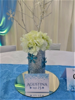 XV AGUSTINA