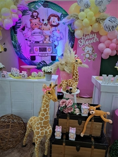 SOFIA MAXINE BABY SHOWER en internet