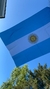 x12u Bandera Argentina XL: 60x90 cm