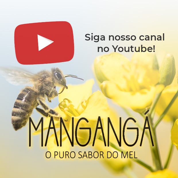 Banner de Mangangá