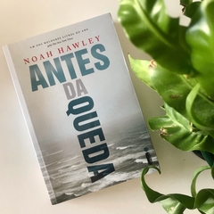 Livro - Antes da Queda