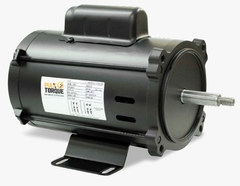 Motor elétrico marca MAX TORQUE para bomba de piscina 1CV