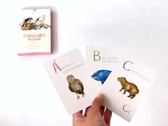 Animalario Argentino / CARTAS - comprar online