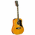 Guitarra Acustica Eko Ranger 12