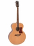 Guitarra Acustica Vintage VJ100 Jumbo Tapa Solida - comprar online