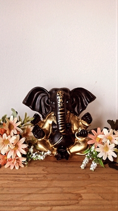 ✨Ganesha ✨