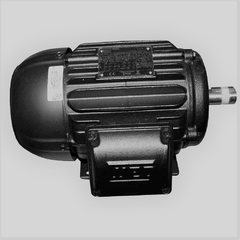 Motor Elétrico Trifásico WEG W22 3.0cv 220/380V 4 Polos IP55