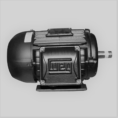 Motor Elétrico Trifásico WEG W22 5.0cv 220/380V 4 Polos IP55 - comprar online