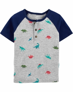 Camisa Carter's Dinossauros Cinza