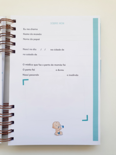 Kit Caderneta de Saúde Personalizada na internet