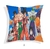 ALMOHADONES 20x20 SUBLIMADOS DRAGON BALL - comprar online