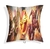 Imagen de ALMOHADONES 20x20 SUBLIMADOS FLASH