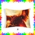 ALMOHADONES 20x30 SUBLIMADOS FLASH - comprar online