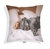 ALMOHADONES 20x20 SUBLIMADO VARIOS 4 - comprar online